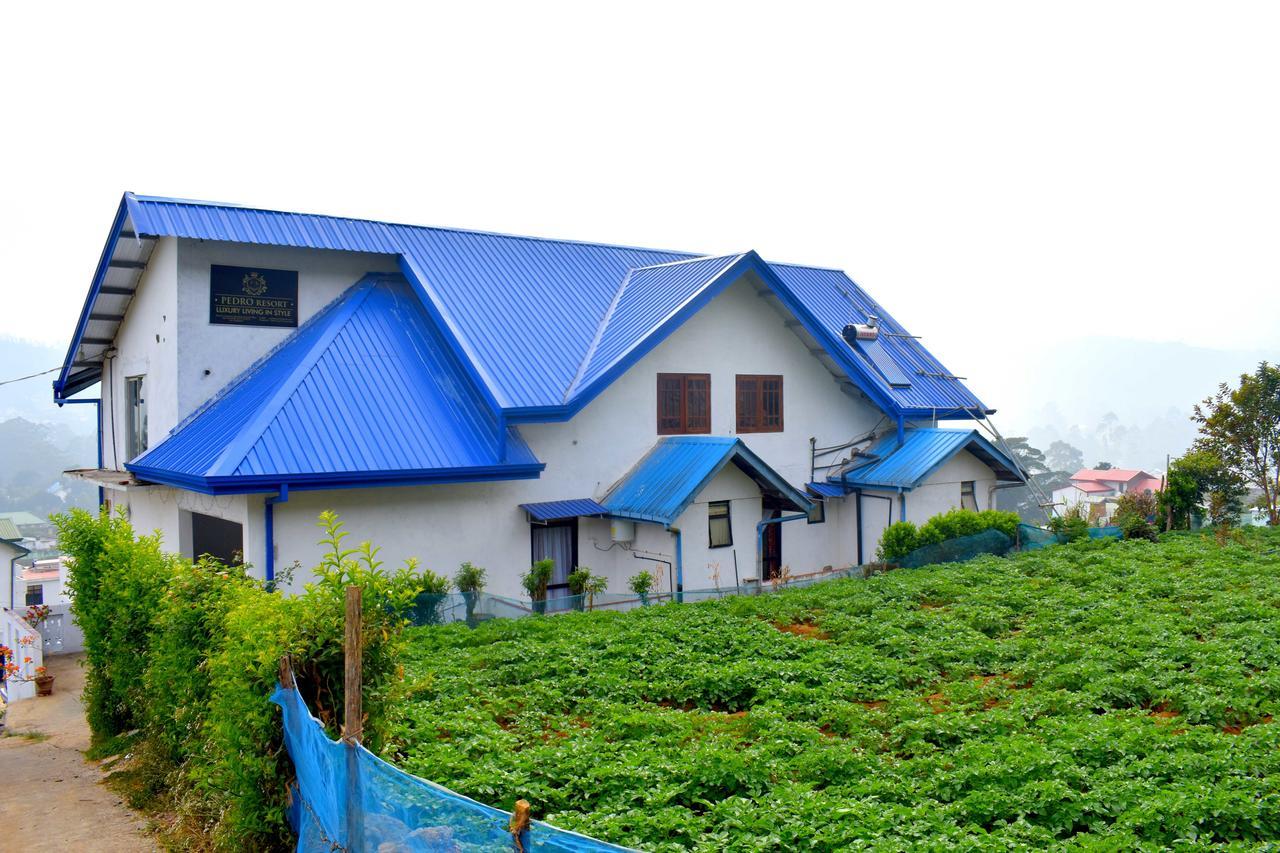 Yoho Pedro Resort Nuwara Eliya Luaran gambar