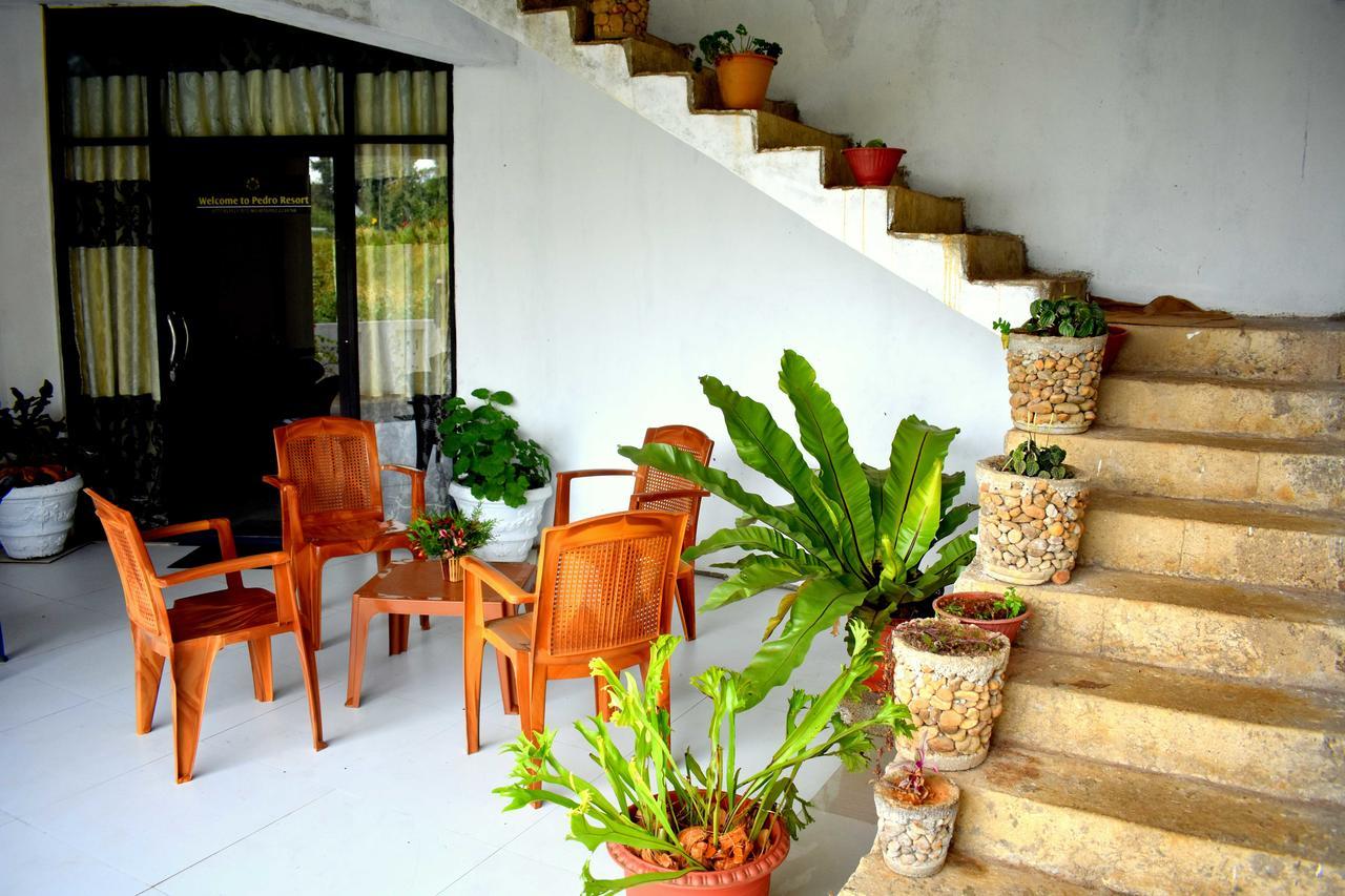 Yoho Pedro Resort Nuwara Eliya Luaran gambar